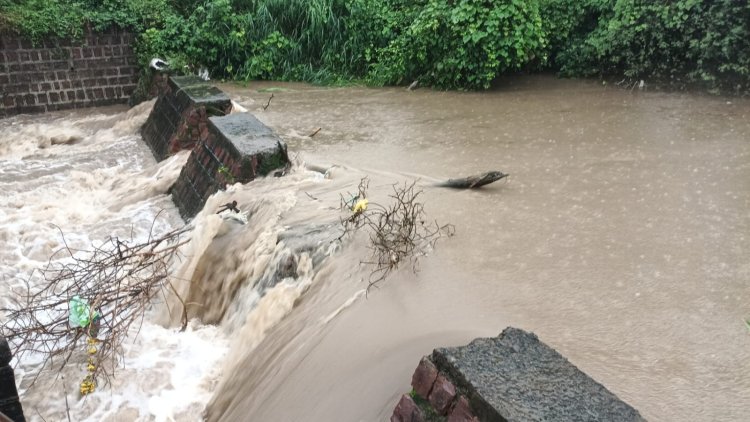 फिर भारी बारिश की चेतावनी, नर्सरी से 8वीं तक की कक्षाओं की 4 सितंबर को छुट्‌टी घोषित