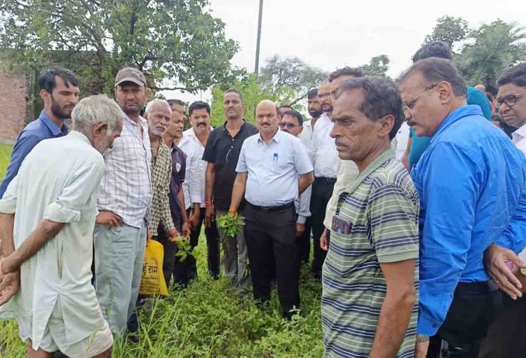 चलो ये भी अच्छा है... सीएम साहब तो नहीं आए लेकिन अधिकारी तो खेतों में पहुंच गए