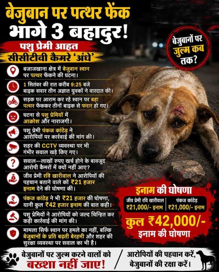 बाइक सवार युवक कुत्ते पर फैंक गए बड़ा भारी पत्थर, जीवदया प्रेमी बोले इन्हें ट्रेस कर पुलिस को बताएं तो देंगे ईनाम